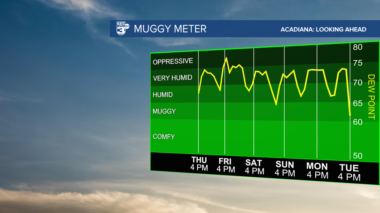 Muggy Meter-1607543012179.png