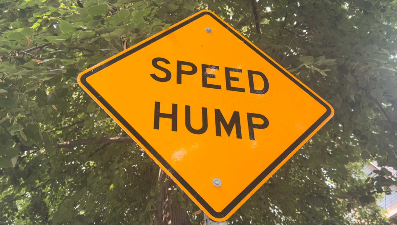 You'll find these signs on Ashland, but no actual speed hump