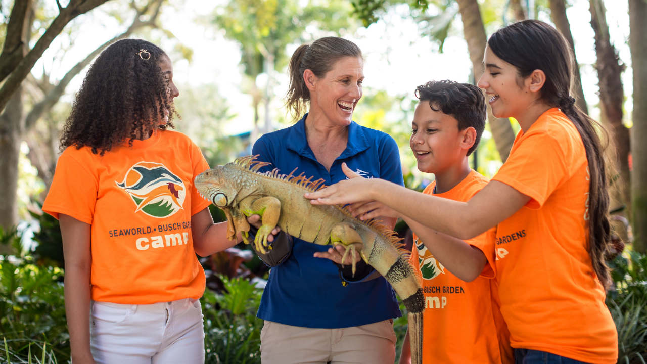 SeaWorld holiday camp2.png