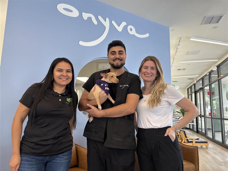 Onyva dog groomer