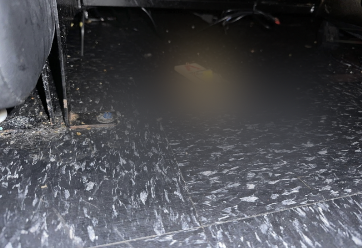 Cinemark mice concerns