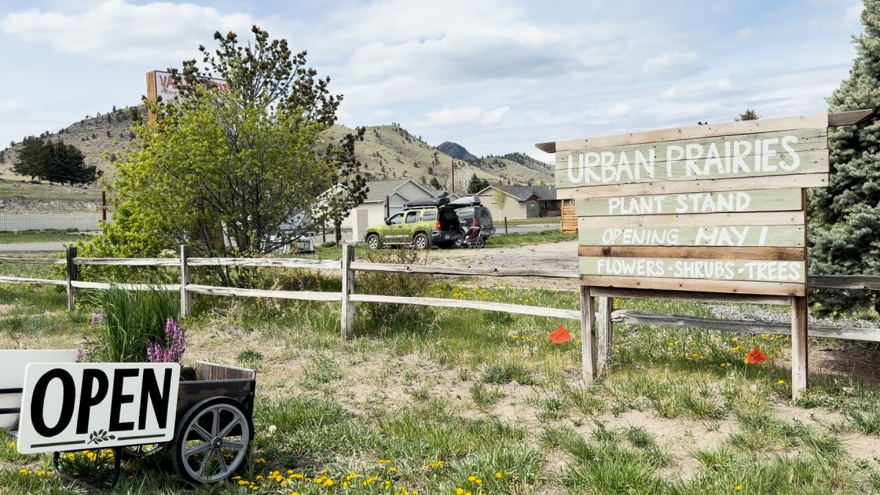 Urban Prairies