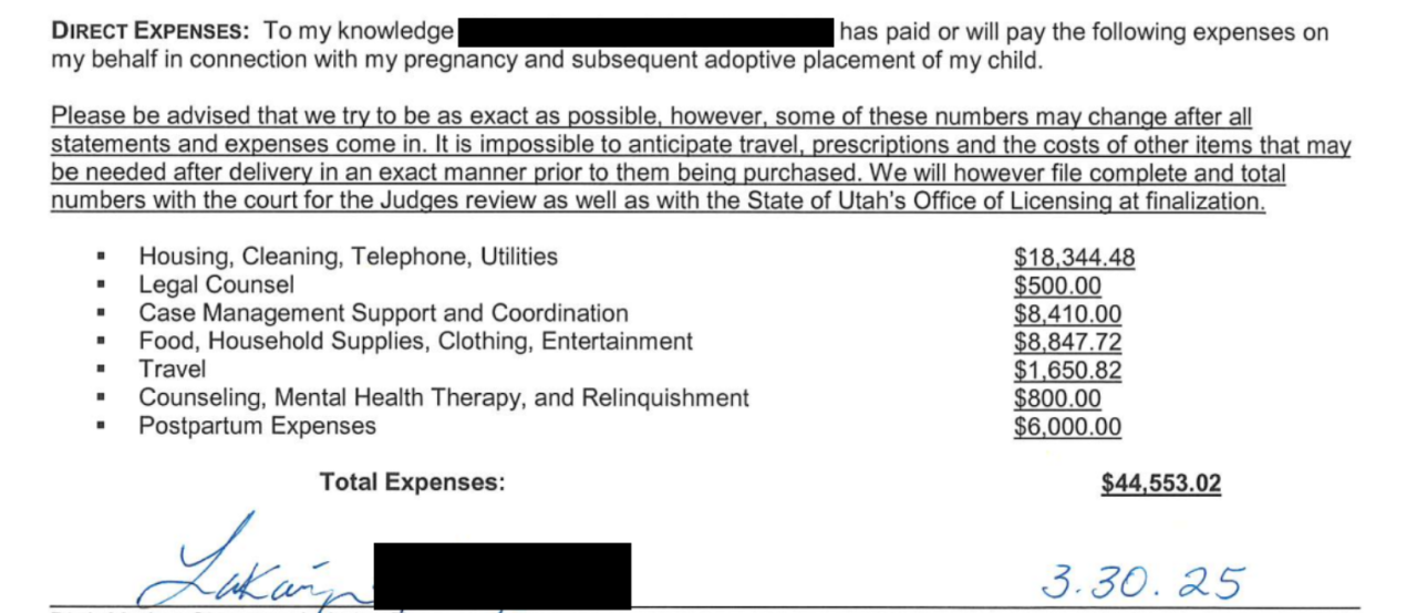 Lakaiya expenses statement.png