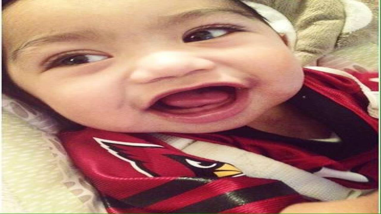 GALLERY: Go Cards! Your fan photos