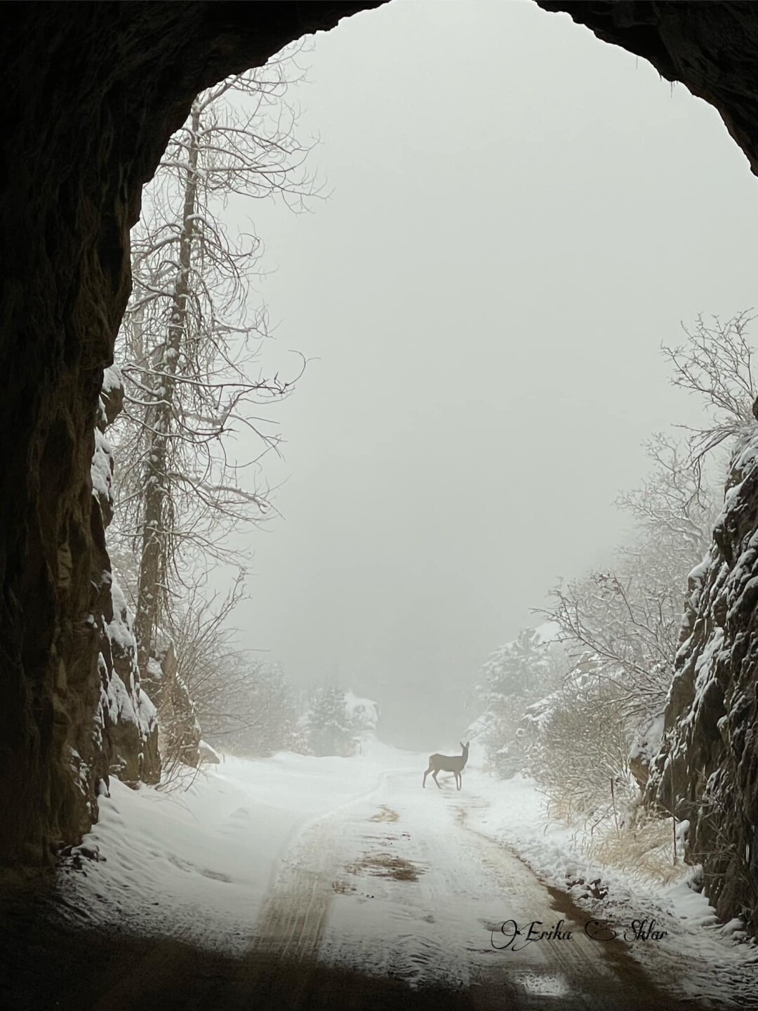 5 - Erika Berrios - Broadmoor.jpg