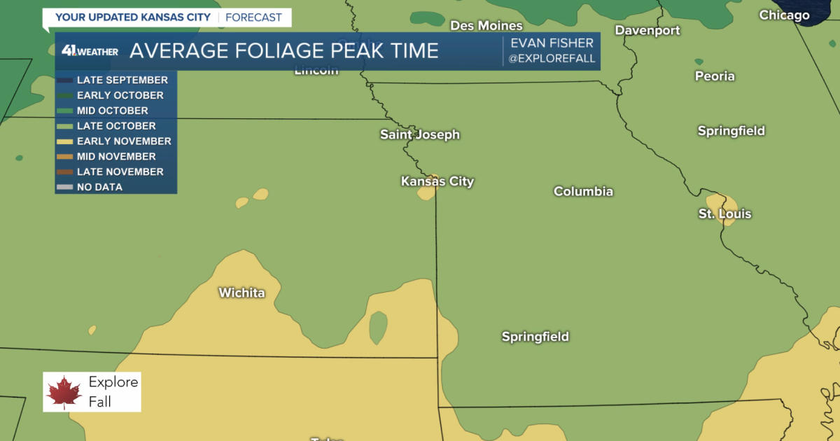 Weather Blog | When will fall foliage peak? - Vimarsana News