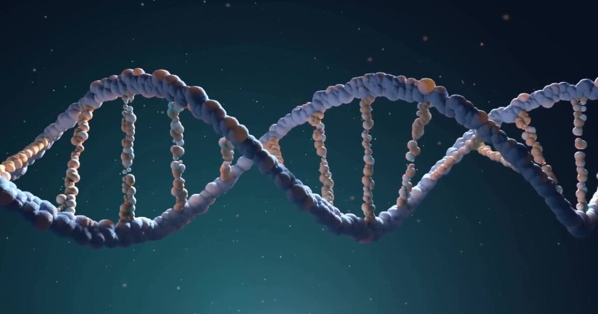 Daniel Dna Michigan State University lab makes big DNA discovery