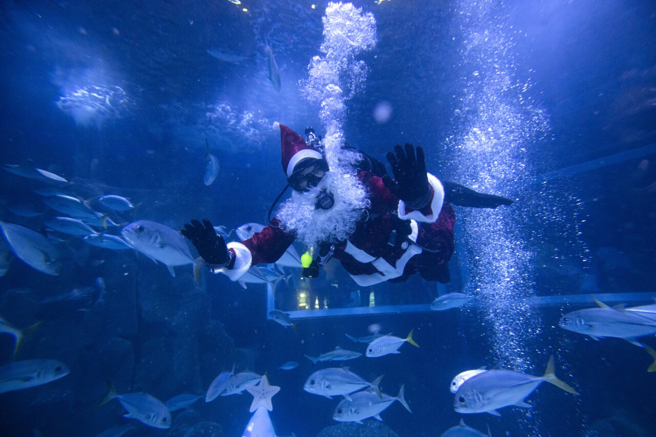 Brazil Christmas