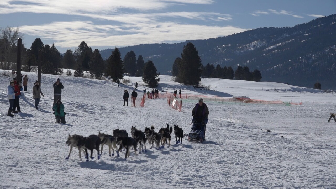 The finish of the Idaho Sled Dog Challenge