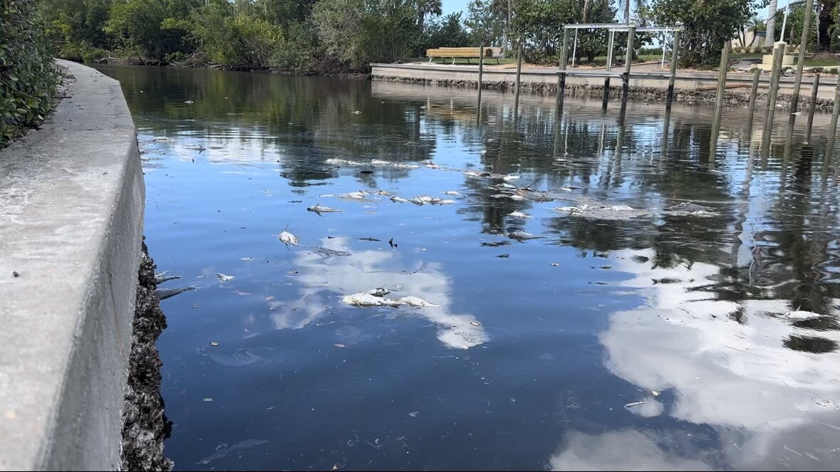 BurntStoreMarina.jpg