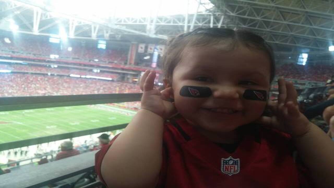GALLERY: Go Cards! Your fan photos