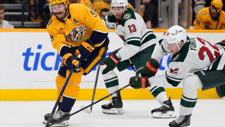 Wild Predators Hockey