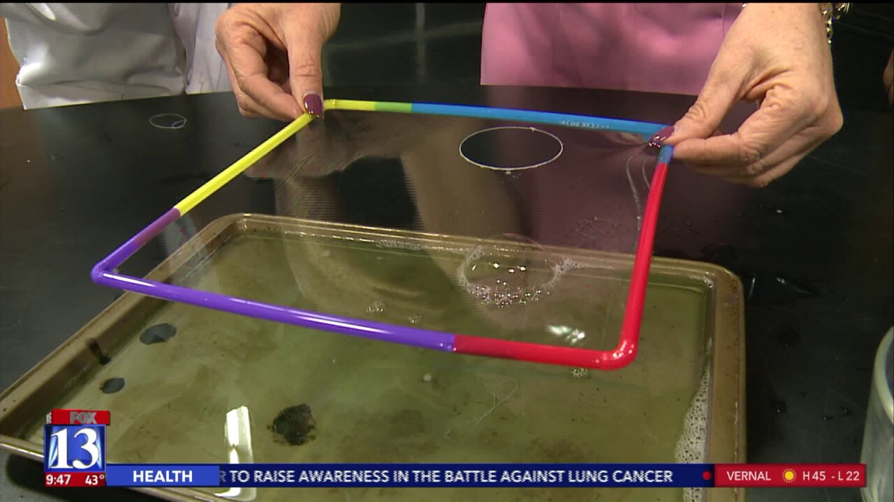 Spark Science Bubbles and surface tension