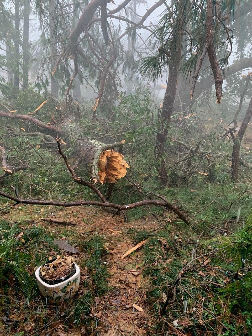 Pineville Storm Damage 2.jpg