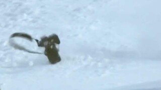 Camera takes tumble down ski slope at 2022 Winter Olympics