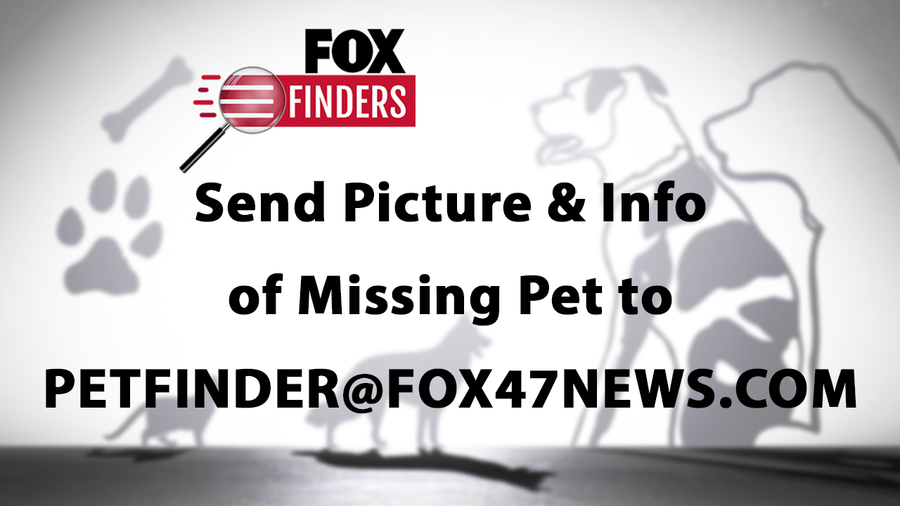 Pet Finder Missing Pets