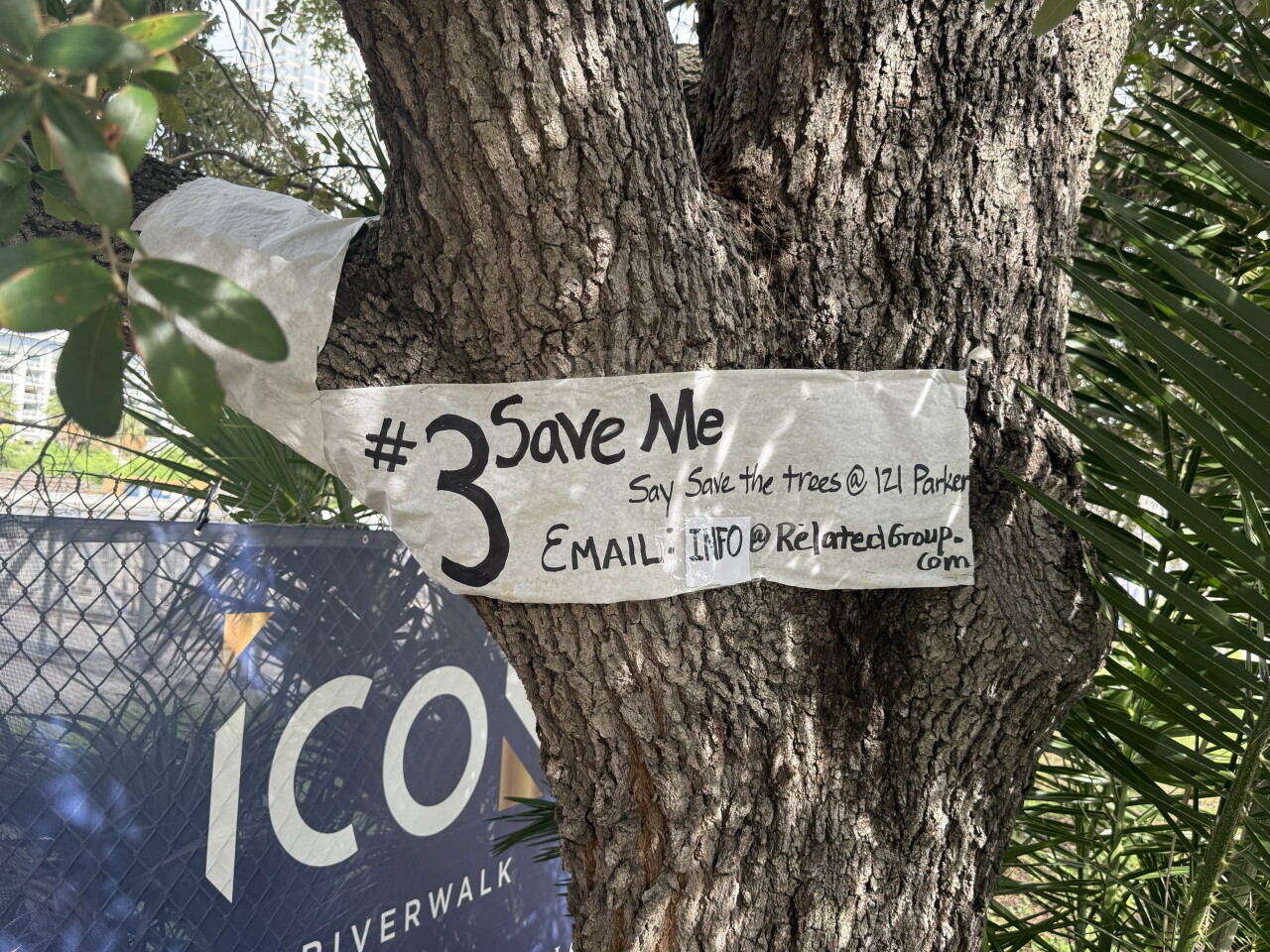 tampa tree advocacy group