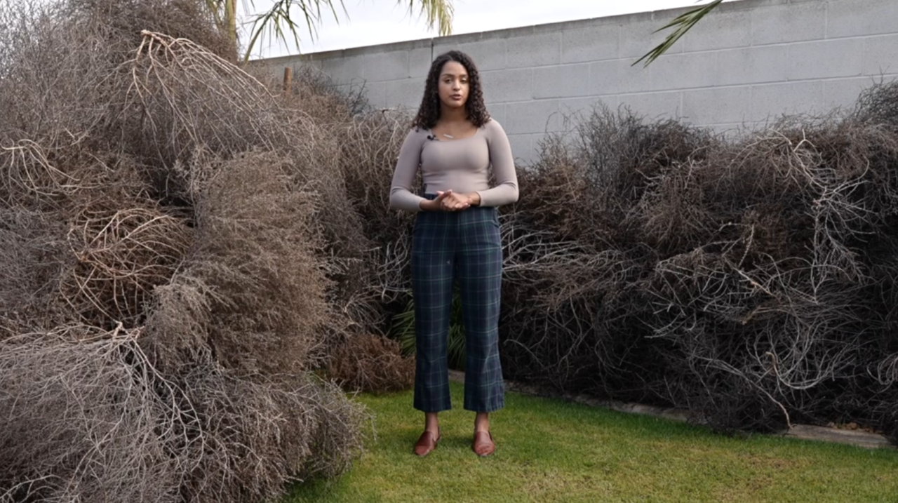 Neighborhood News Reporter Dominique Lavigne standing next to tumbleweed pile. For reference, Dominique is 5'8 tall