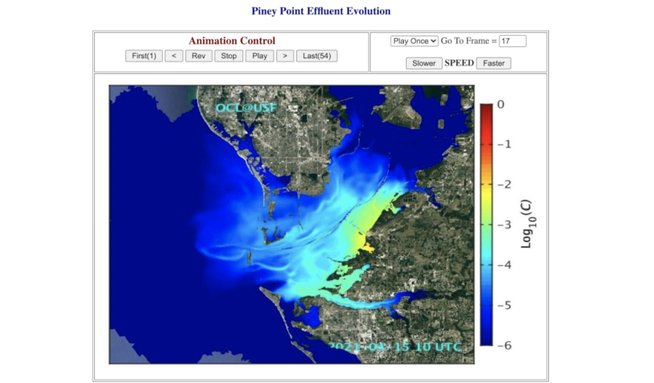 piney point water in tampa bay3.png