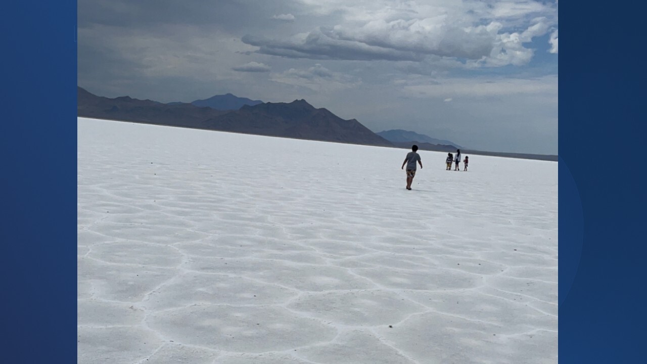 Walks on the Salt Flats.jpg