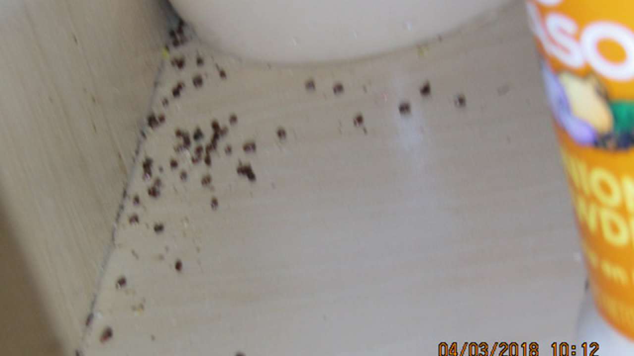 Lakeland senior living apartment infested with bed bugs