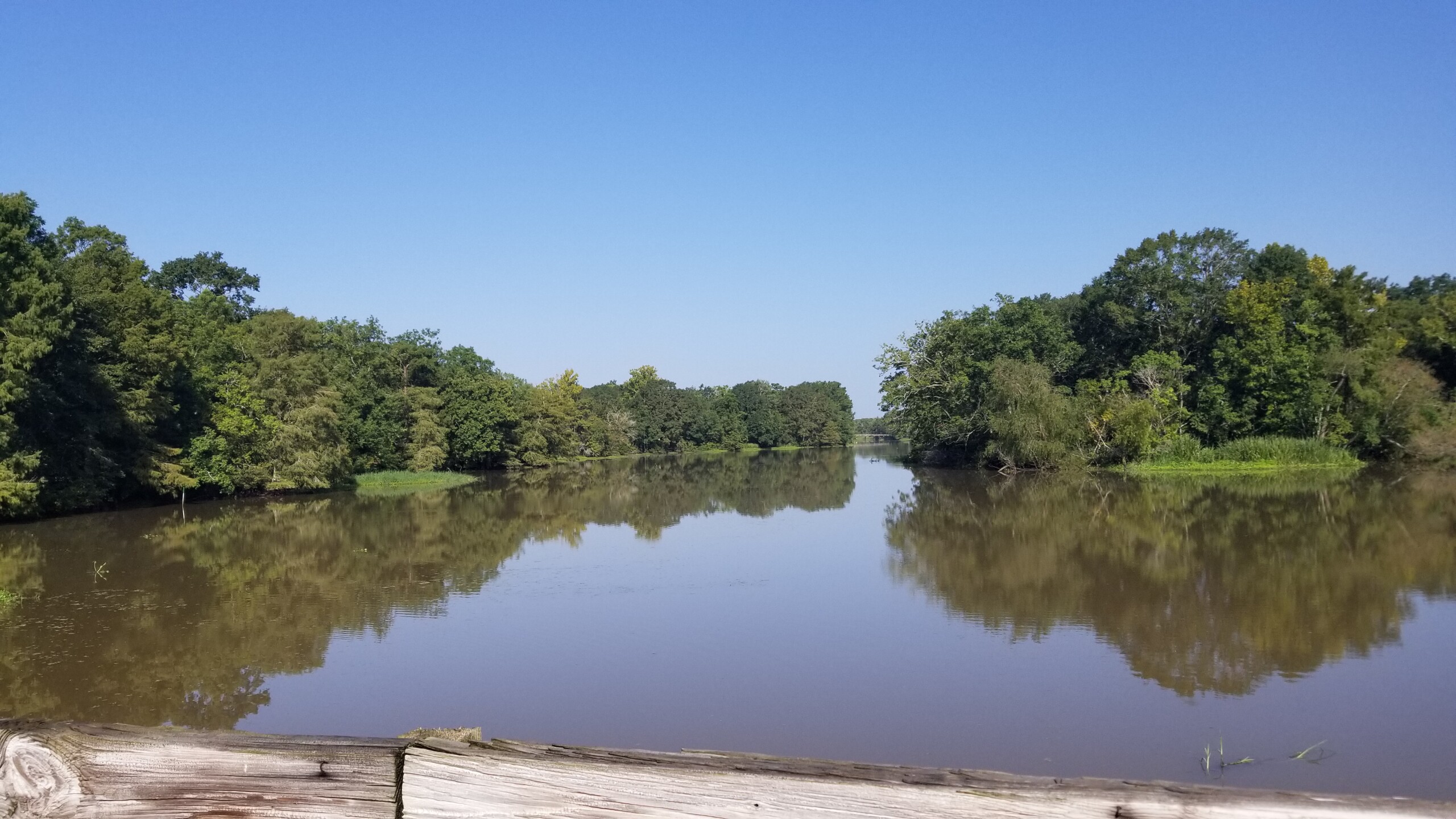 Dave Trips Lake Fausse Pointe State Park