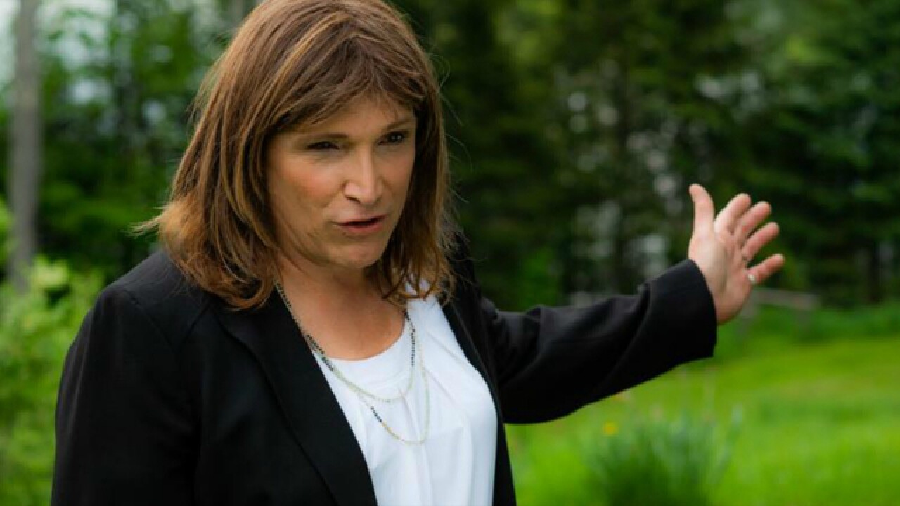 Vermont's Christine Hallquist could be the country's first transgender governor