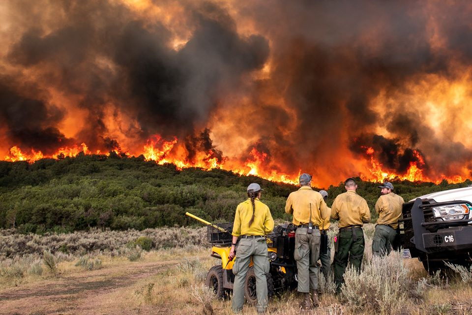 Pine Gulch Fire_Wyoming Hotshots/Pine Gulch Fire 2