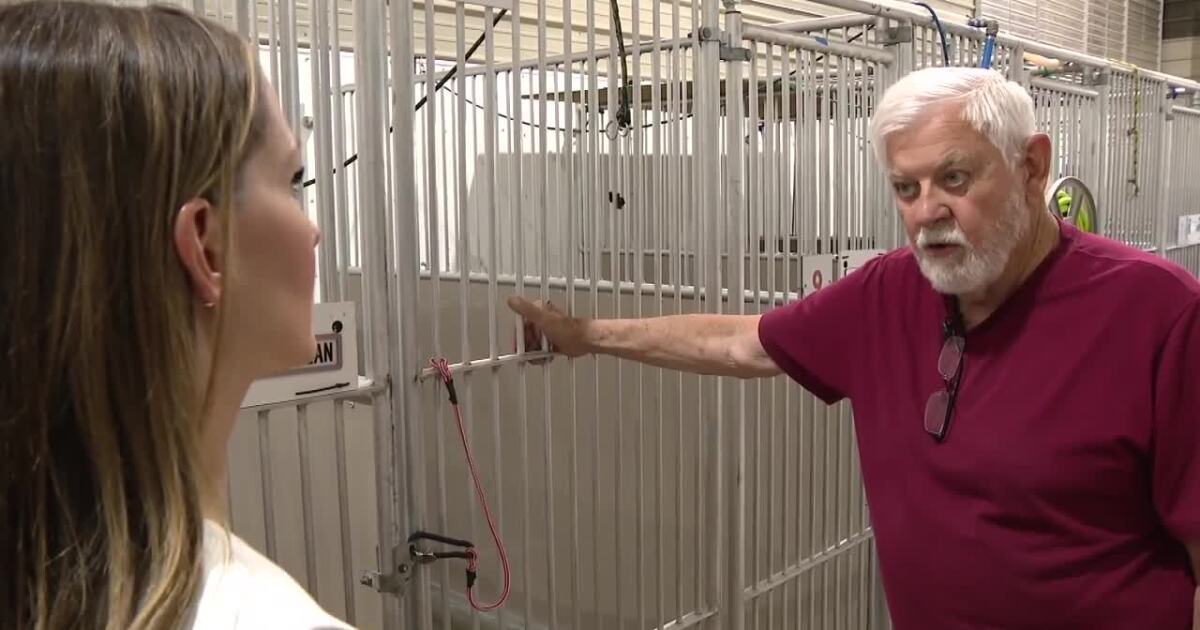 Fountain pet boarding facility shut down after dog deaths, owner speaks out for first time