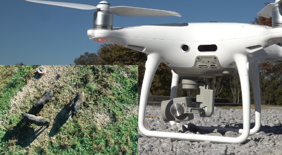 Screenshot 2024-10-21 182521.png