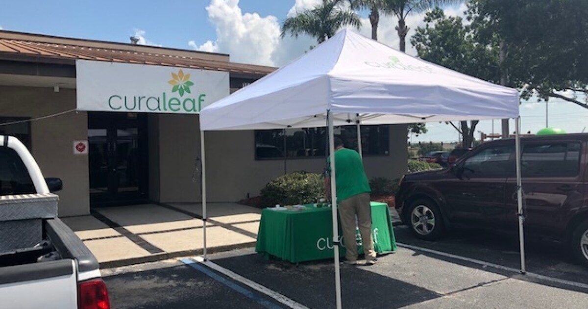 dispensary drive palm medical harbor marijuana thru florida