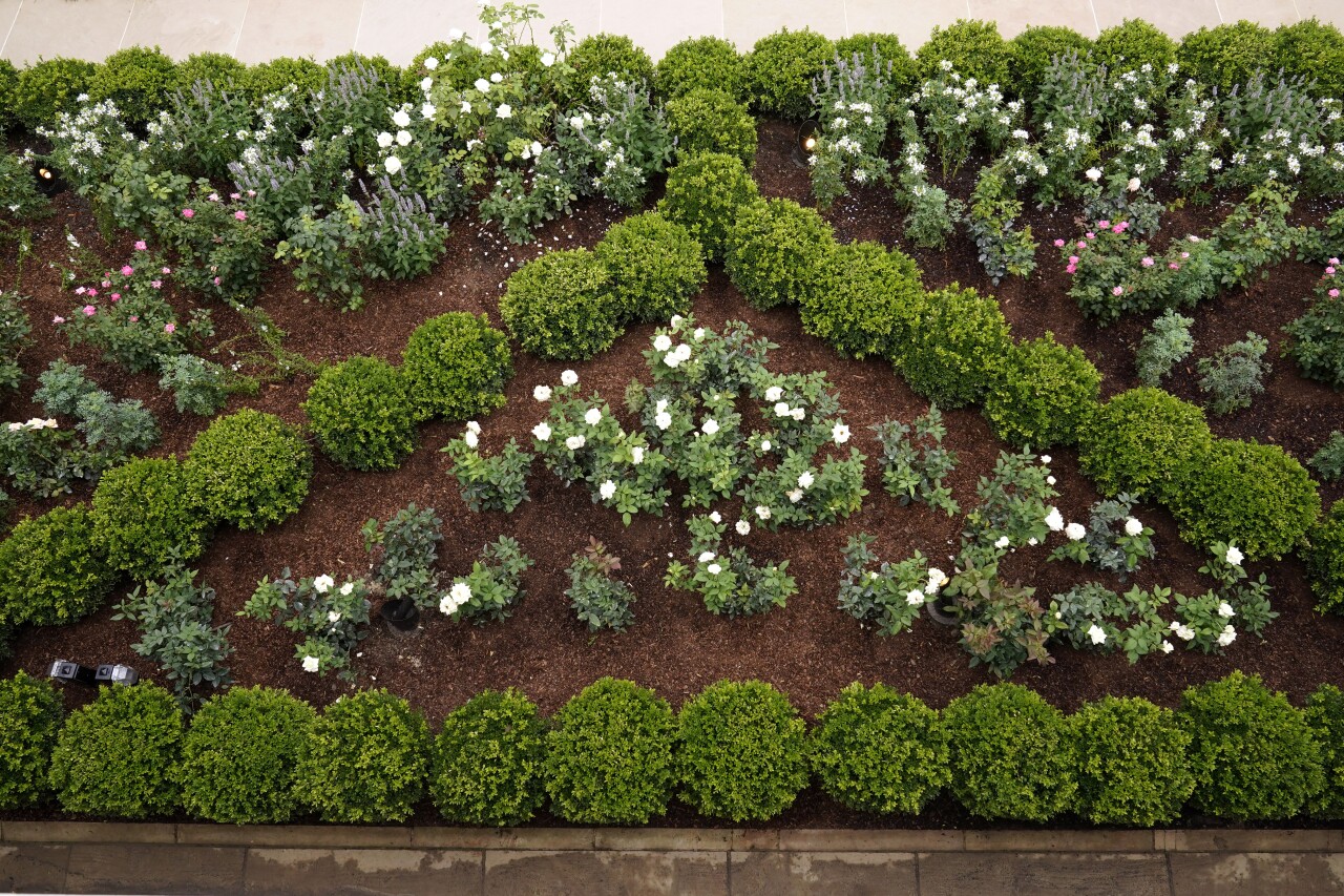 Rose Garden