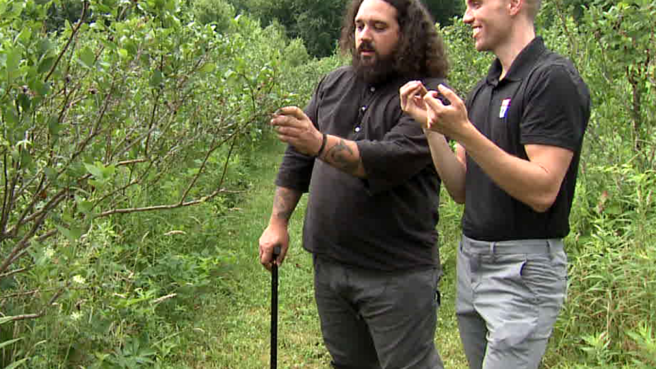 MISSION ON THE FARM: Bangor blueberry farmer giving vets free pints 