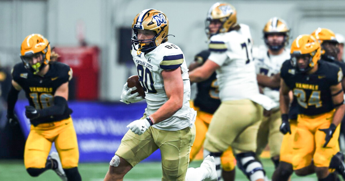 Bobcat Insider: Vigen reflects on loss to Idaho, looks ahead to Northern Arizona - Vimarsana News