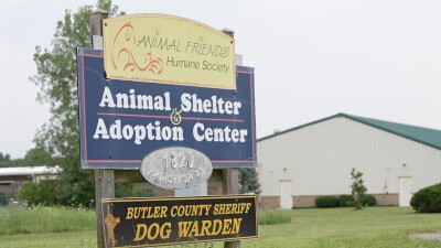 Hamilton animal shelter admits kittens were improperly euthanized after disease outbreak