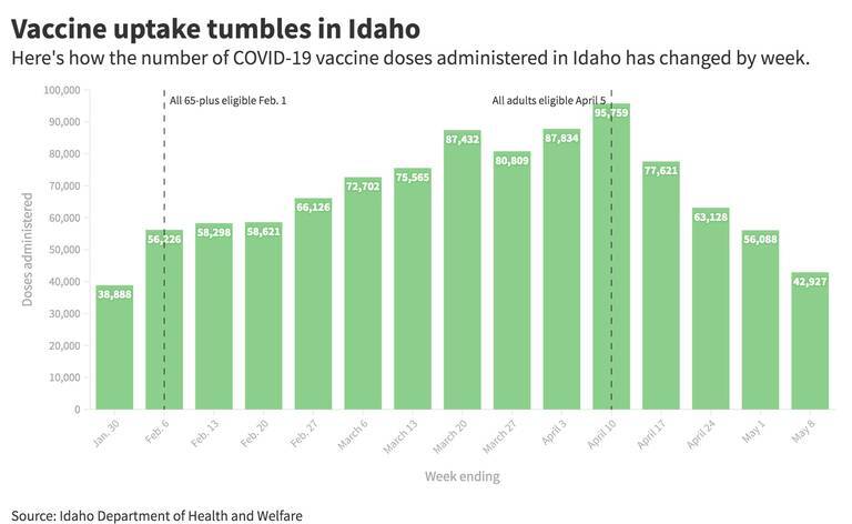 Vaccine doses2x.jpeg