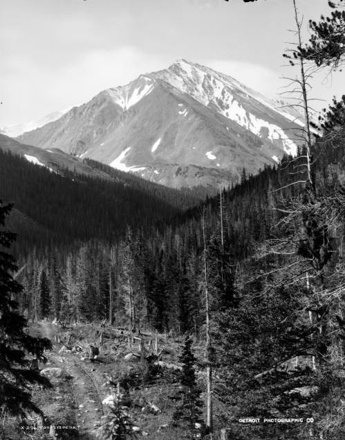 Torreys Peak.jpg
