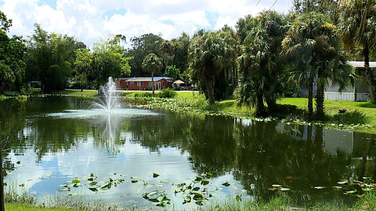 Pond in Julia Mobile Home and RV Park.