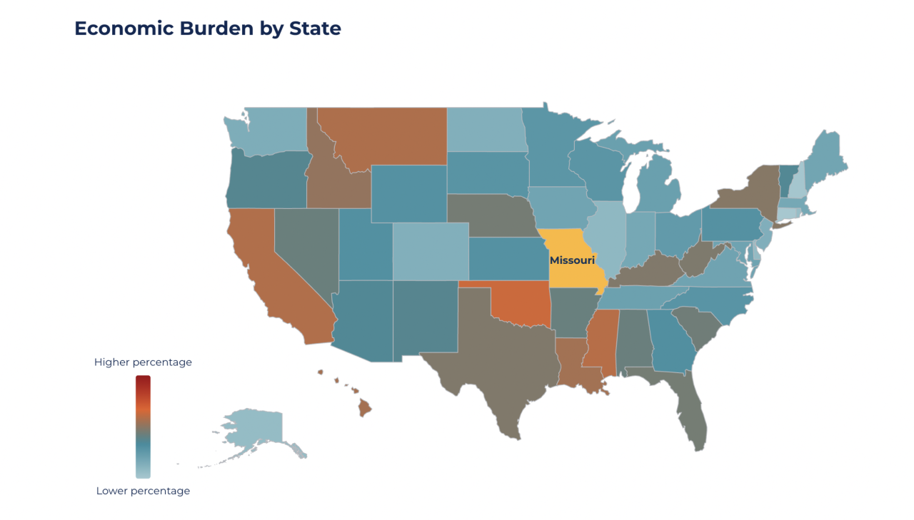 Economic Burden by State