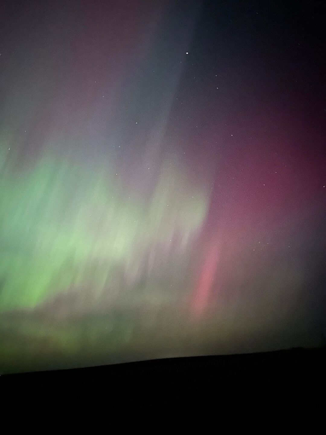 Black Forest | Emily Boling