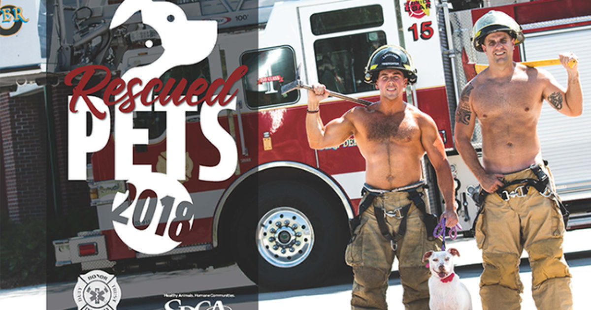 Firefighters pose with rescued pets for calendar