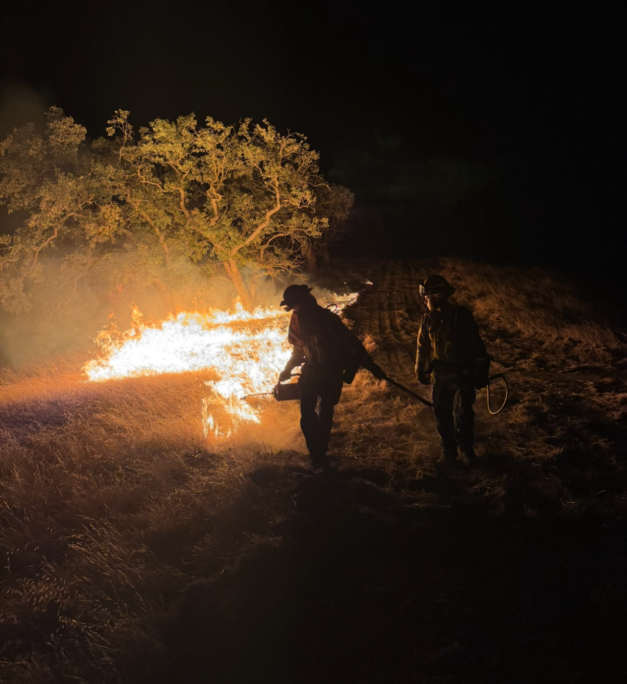 Plaskett Fire