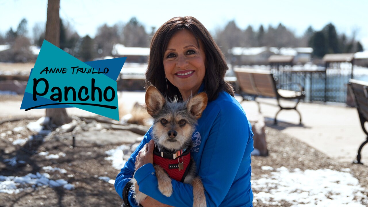 Anne Trujillo Pet Pics.jpg