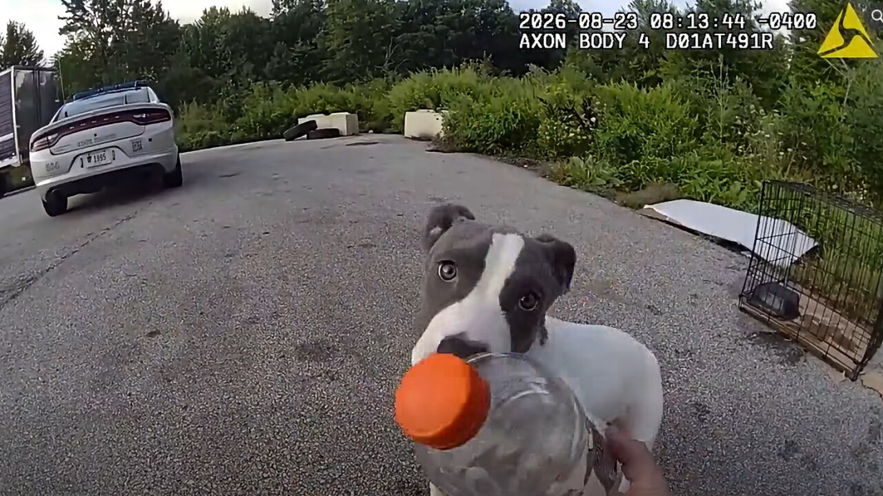 Medina Co. Dog Rescue - OSHP