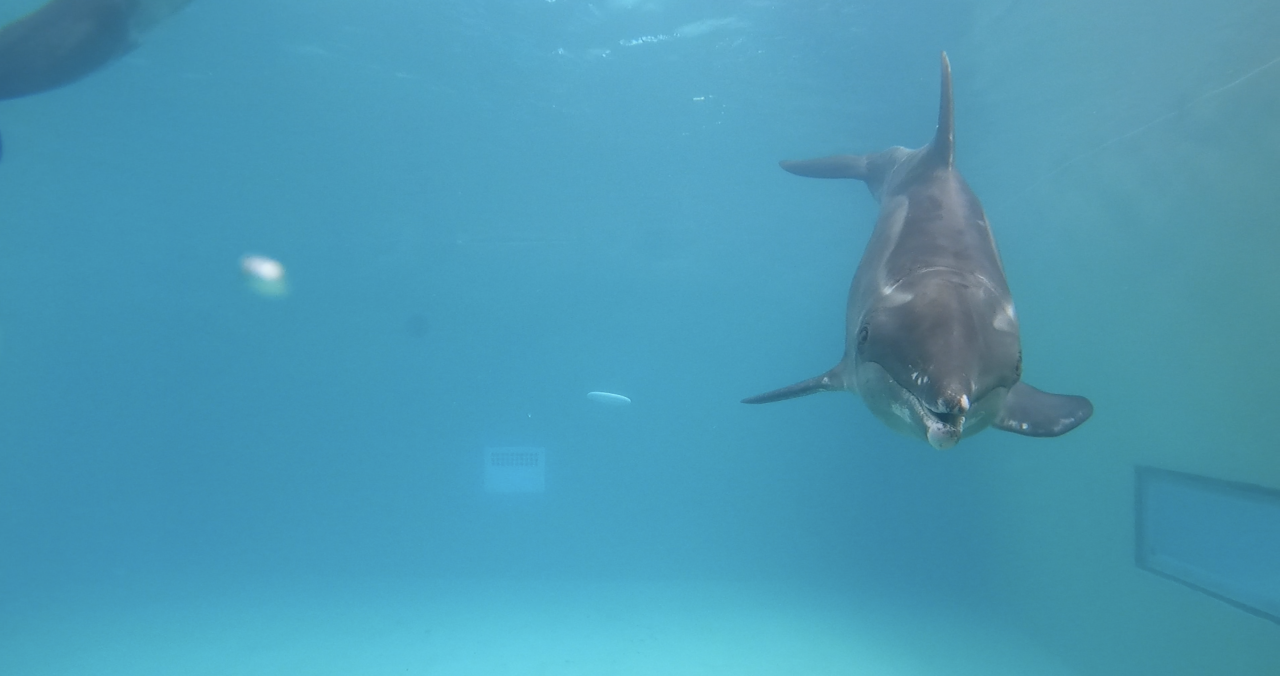 Image from iOS (16).png