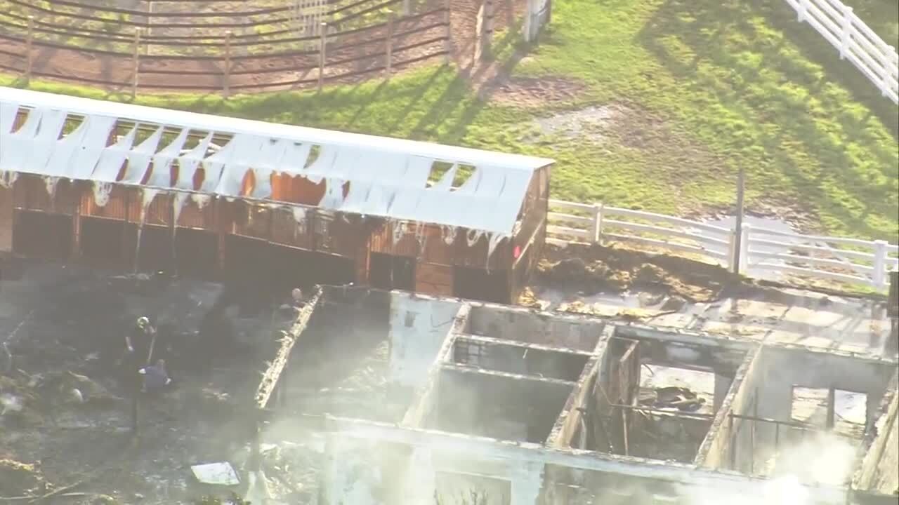 Palm Beach County Fire Rescue said at least three horses were killed after a large barn caught fire March 14, 2019 in Wellington.