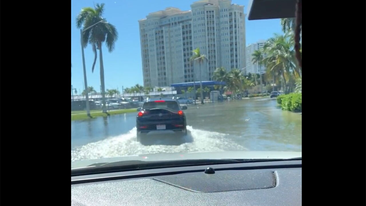 King tide flooding on Flagler Drive, Nov. 7, 2021