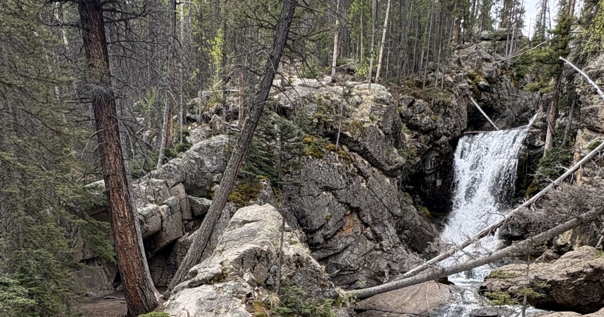 Colorado Waterfall Hikes: Browns Creek Falls near Buena Vista