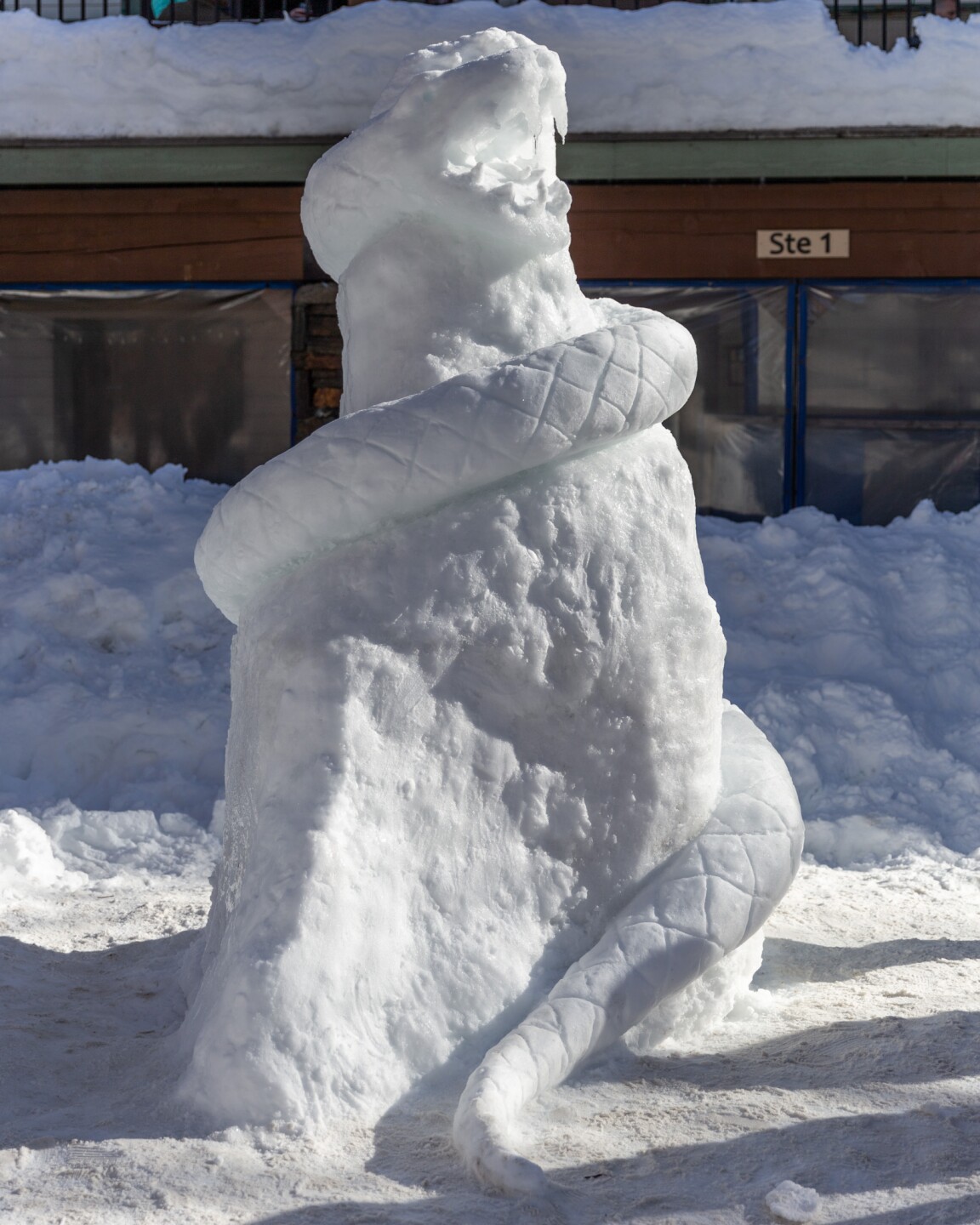 Photos Mccall Winter Carnival 2019