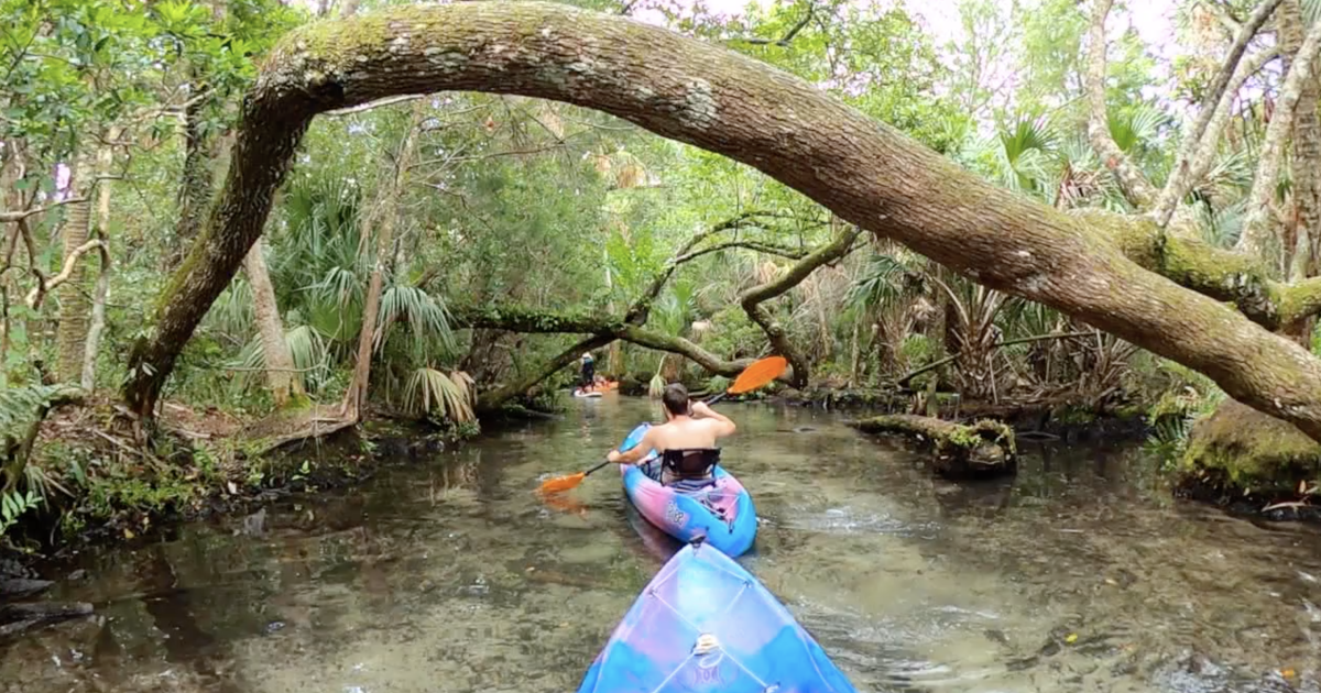 Giant Summer Adventure: The Chaz River in Homosassa, FL
